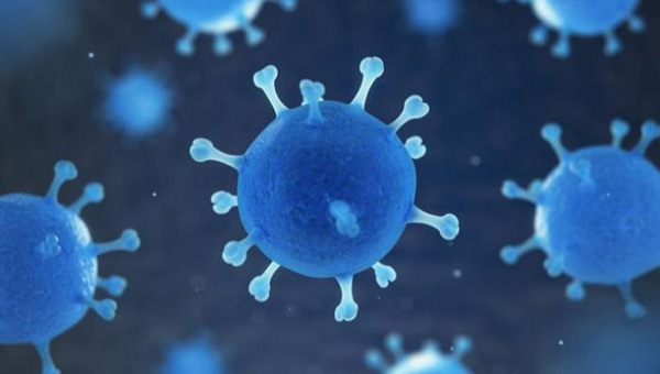 صحة أبوظبي تطلق موقعا إلكترونيا للتوعية بفيروس كورونا